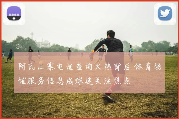 阿瓦山寨电话查询火热背后 体育场馆服务信息成球迷关注焦点