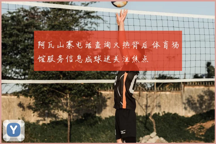 阿瓦山寨电话查询火热背后 体育场馆服务信息成球迷关注焦点