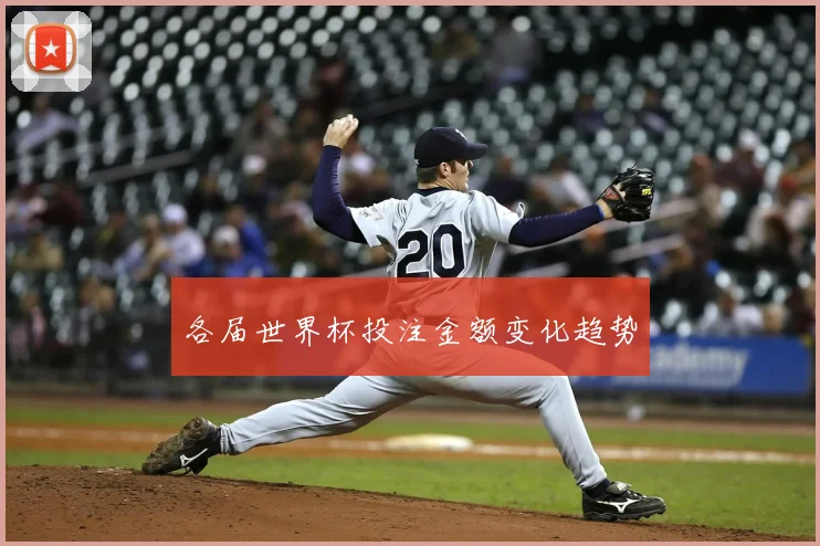 各届世界杯投注金额变化趋势