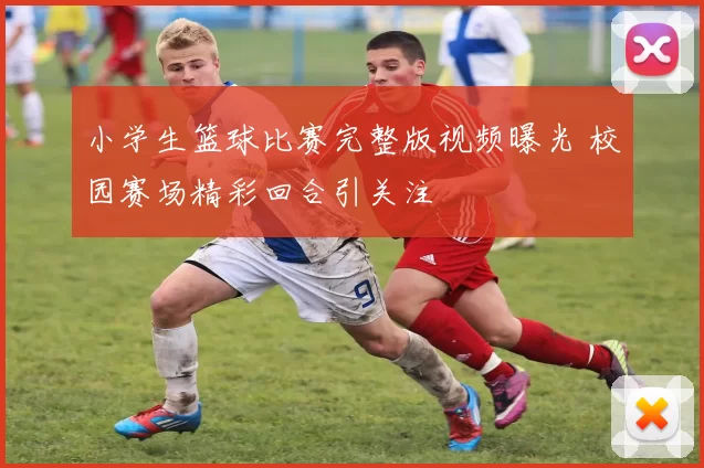 小学生篮球比赛完整版视频曝光 校园赛场精彩回合引关注