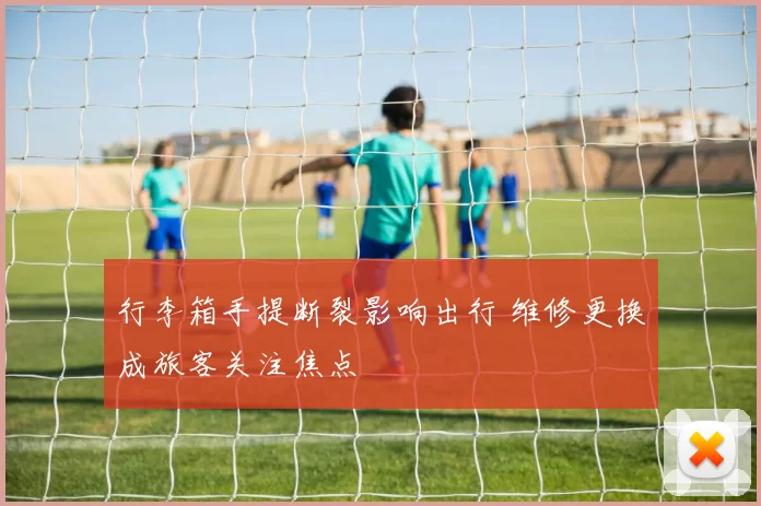 行李箱手提断裂影响出行 维修更换成旅客关注焦点